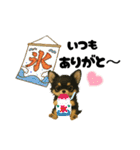 夏に使うスタンプだワン♪（個別スタンプ：3）