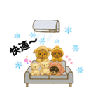 夏に使うスタンプだワン♪（個別スタンプ：7）