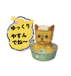 夏に使うスタンプだワン♪（個別スタンプ：14）