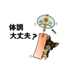 夏に使うスタンプだワン♪（個別スタンプ：15）