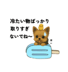夏に使うスタンプだワン♪（個別スタンプ：24）