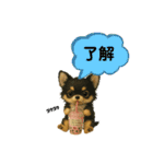 夏に使うスタンプだワン♪（個別スタンプ：27）