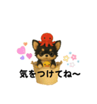夏に使うスタンプだワン♪（個別スタンプ：31）