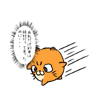 シロタマちゃんが活躍するスタンプ（個別スタンプ：17）