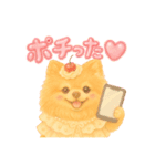 ポメラニアンのまいにち（個別スタンプ：14）