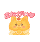 ポメラニアンのまいにち（個別スタンプ：16）