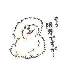 ふくすけといっしょ‼️（個別スタンプ：21）
