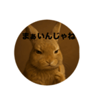 うざいウサギ【面白い系】2（個別スタンプ：5）