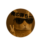 うざいウサギ【面白い系】2（個別スタンプ：8）