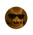 うざいウサギ【面白い系】2（個別スタンプ：11）