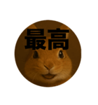 うざいウサギ【面白い系】2（個別スタンプ：13）