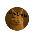 うざいウサギ【面白い系】2（個別スタンプ：14）