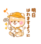 ゴルフする❤️いやしばいぬ❤️柴犬/父の日（個別スタンプ：12）