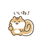 ふわふわリス 動くスタンプ（文字付き）（個別スタンプ：1）