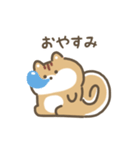 ふわふわリス 動くスタンプ（文字付き）（個別スタンプ：5）