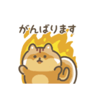 ふわふわリス 動くスタンプ（文字付き）（個別スタンプ：6）