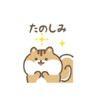 ふわふわリス 動くスタンプ（文字付き）（個別スタンプ：8）