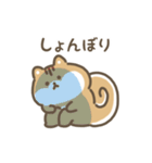 ふわふわリス 動くスタンプ（文字付き）（個別スタンプ：11）
