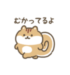 ふわふわリス 動くスタンプ（文字付き）（個別スタンプ：12）