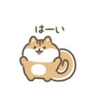 ふわふわリス 動くスタンプ（文字付き）（個別スタンプ：16）