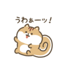 ふわふわリス 動くスタンプ（文字付き）（個別スタンプ：20）