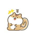 ふわふわリス 動くスタンプ（文字付き）（個別スタンプ：21）