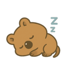 クオッカのクーちゃん1（個別スタンプ：13）