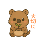 クオッカのクーちゃん1（個別スタンプ：27）