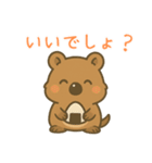 クオッカのクーちゃん1（個別スタンプ：29）