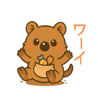 クオッカのクーちゃん1（個別スタンプ：33）