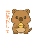 クオッカのクーちゃん1（個別スタンプ：35）
