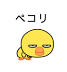 毎日使える目つきの悪いヒヨコ（個別スタンプ：1）