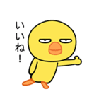 毎日使える目つきの悪いヒヨコ（個別スタンプ：2）
