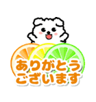 飛び出すモコモコいぬ！毎日使える  修正版（個別スタンプ：4）