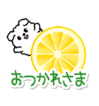 飛び出すモコモコいぬ！毎日使える  修正版（個別スタンプ：5）