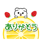 飛び出すモコモコいぬ！毎日使える  修正版（個別スタンプ：6）