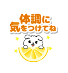 飛び出すモコモコいぬ！毎日使える  修正版（個別スタンプ：13）