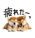 やる気ゼロ♡わんこ（個別スタンプ：7）
