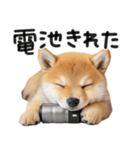 やる気ゼロ♡わんこ（個別スタンプ：12）