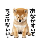 やる気ゼロ♡わんこ（個別スタンプ：13）