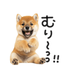 やる気ゼロ♡わんこ（個別スタンプ：19）