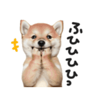 やる気ゼロ♡わんこ（個別スタンプ：22）