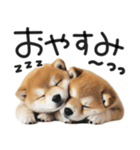 やる気ゼロ♡わんこ（個別スタンプ：25）