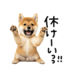 やる気ゼロ♡わんこ（個別スタンプ：28）