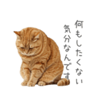 太ってるし口の悪い猫【面白い】（個別スタンプ：2）