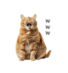 太ってるし口の悪い猫【面白い】（個別スタンプ：3）