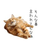 太ってるし口の悪い猫【面白い】（個別スタンプ：6）