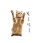 太ってるし口の悪い猫【面白い】（個別スタンプ：14）