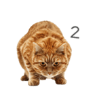 太ってるし口の悪い猫【面白い】（個別スタンプ：18）