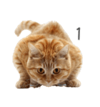 太ってるし口の悪い猫【面白い】（個別スタンプ：19）